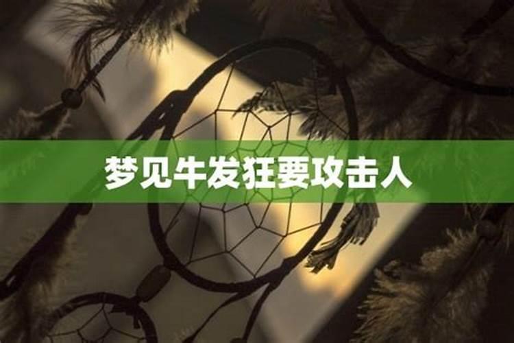 农历10月初一是什么星座