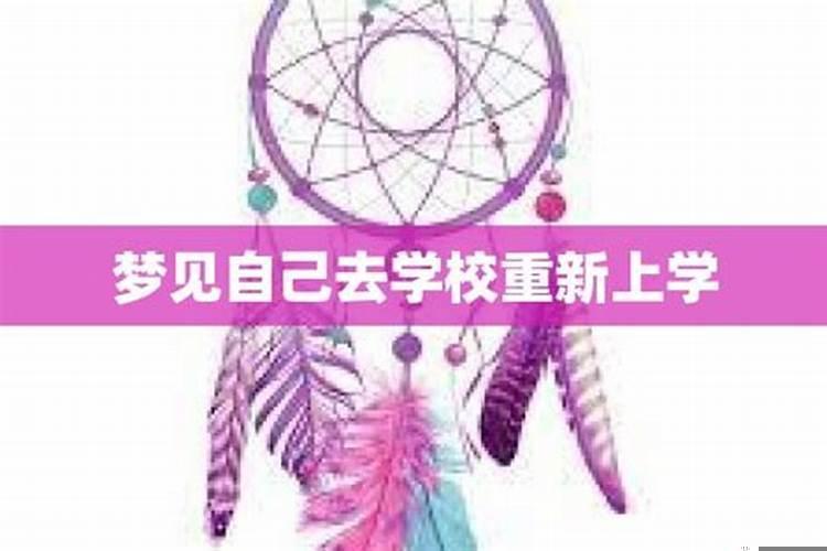 梦到自己回到学校上学