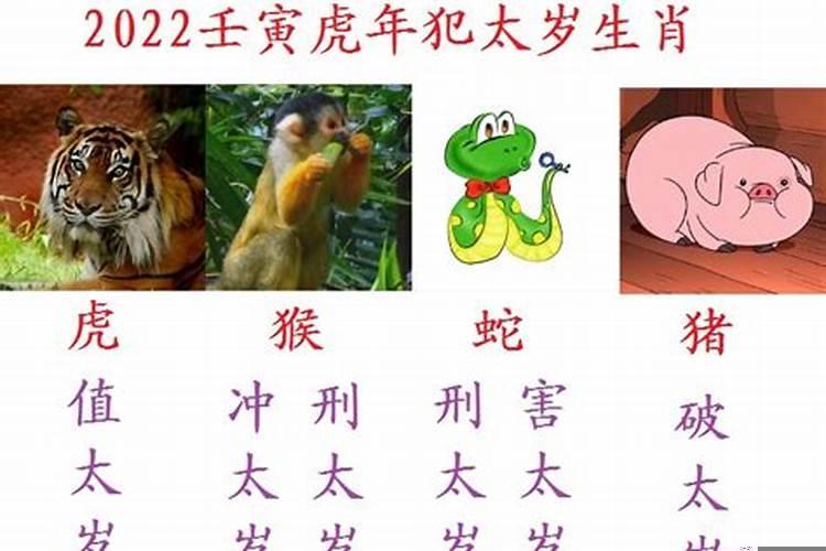 今年属什么生肖2024年运气好不好