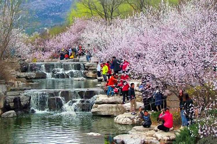 北京清明节适合哪里玩