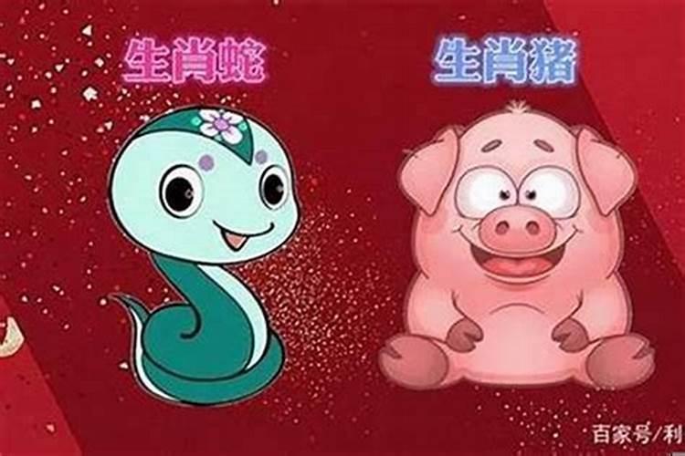 一九零四年生肖属什么