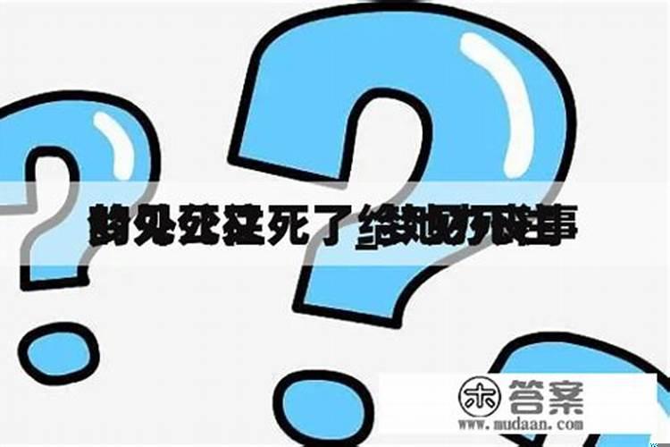 属猪的2021年适合佩戴什么