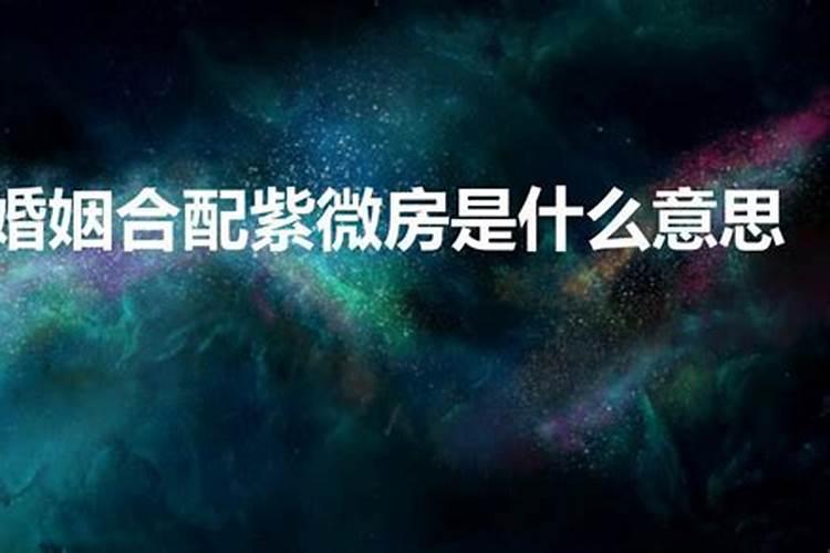 属兔女明星有哪些明星