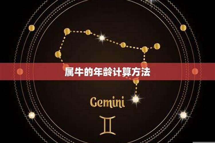 哪个星座会喜欢金牛座