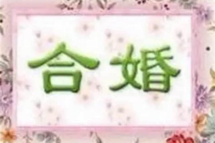 八字相差一个时辰