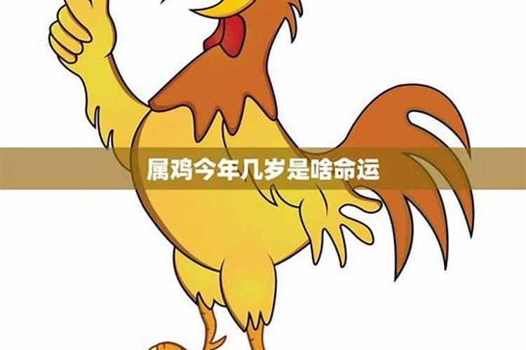 属鸡今年多少岁