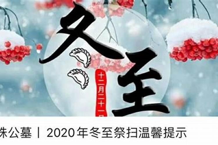 上海新闻冬至祭扫