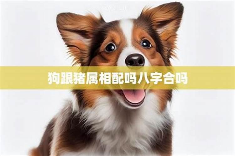 属虎取名字宜用什么字