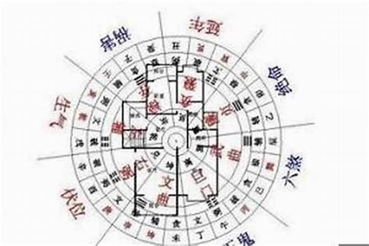 生日是8月12日是什么星座