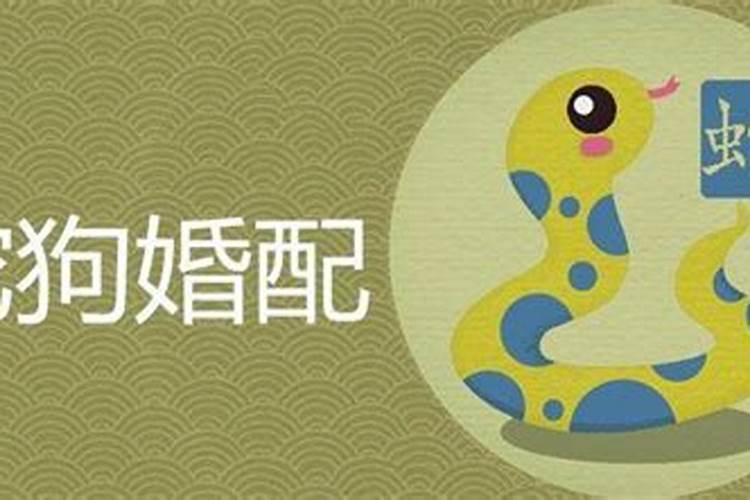 属龙8月初一出生今年运势怎么样