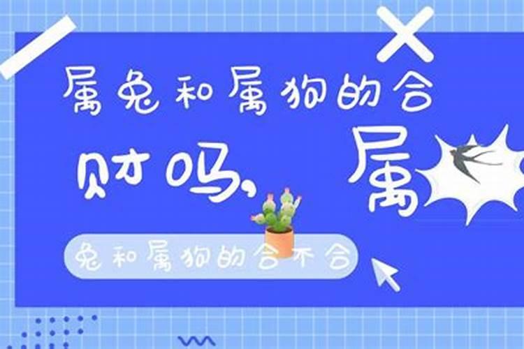 玉字在五行中属什么属性