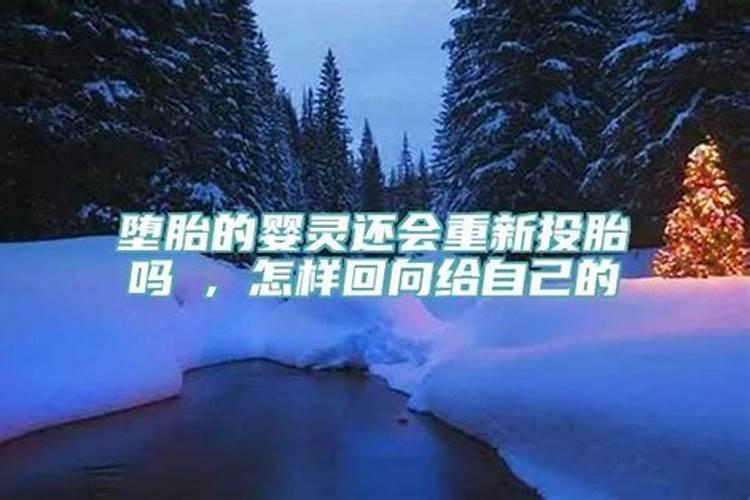 属猴跟什么不合适