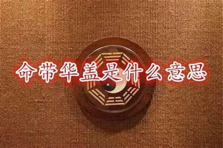 利五行属性属什么