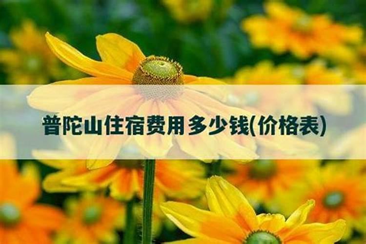 普陀山做法事买票流程