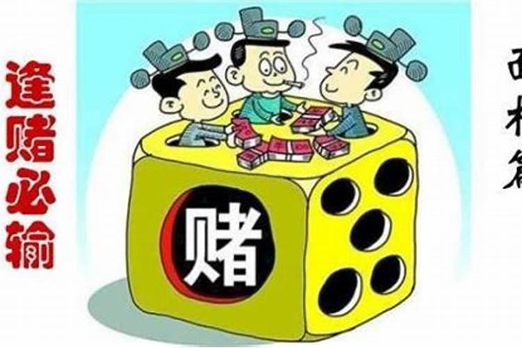 今犯太岁有哪几个生肖2020年