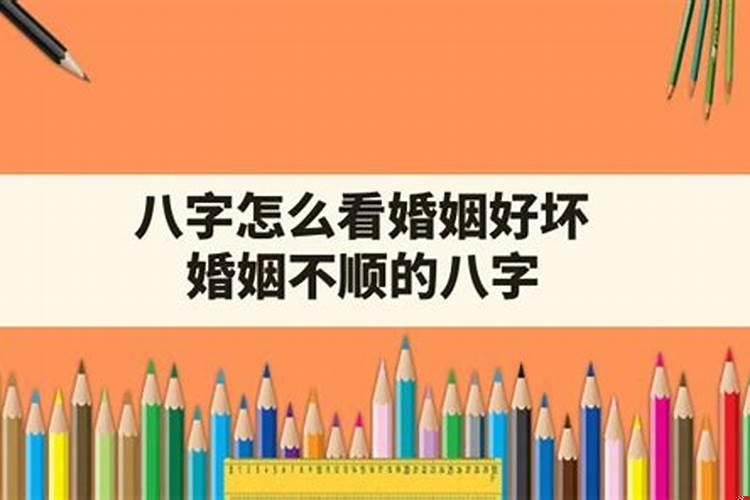 羊与狗八字合不合适