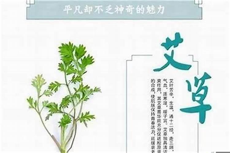 梦见自己捡到手机什么意思