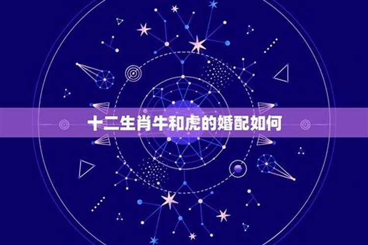 梦见在坟墓边采蘑菇是什么意思