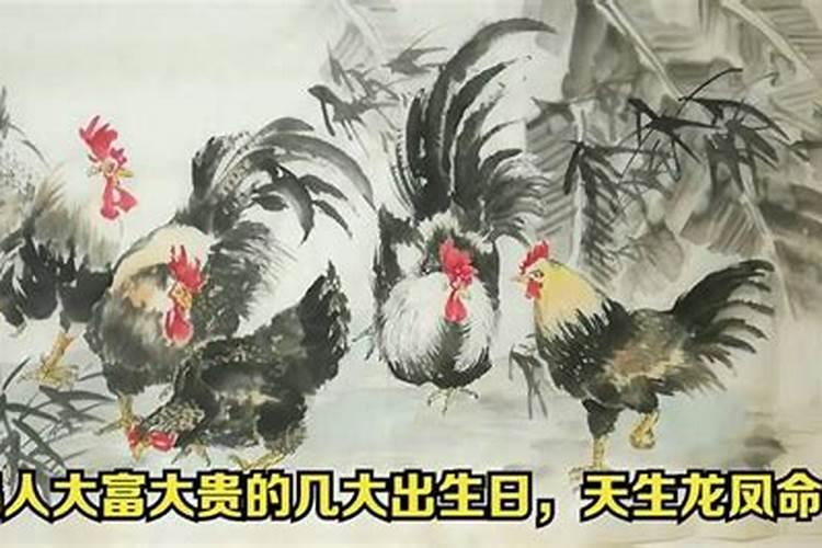 属鸡人命最差农历月份