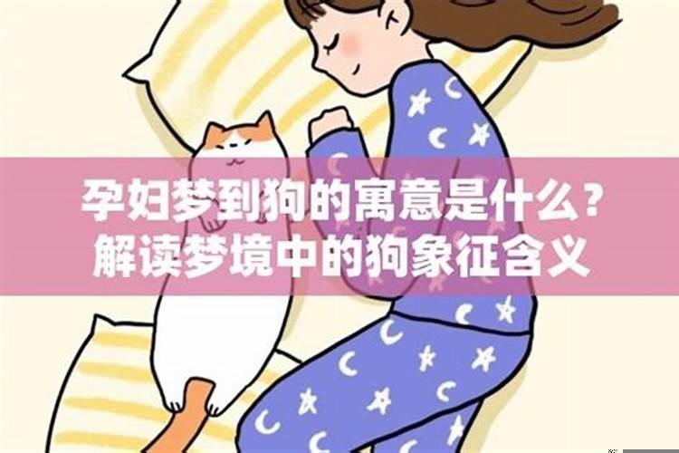 孕妇梦见狗是什么寓意