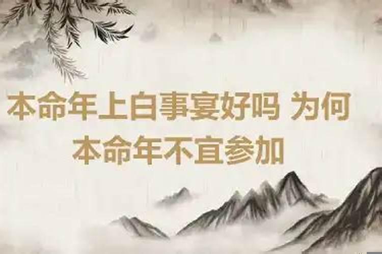 师洋的在2023年运势如何