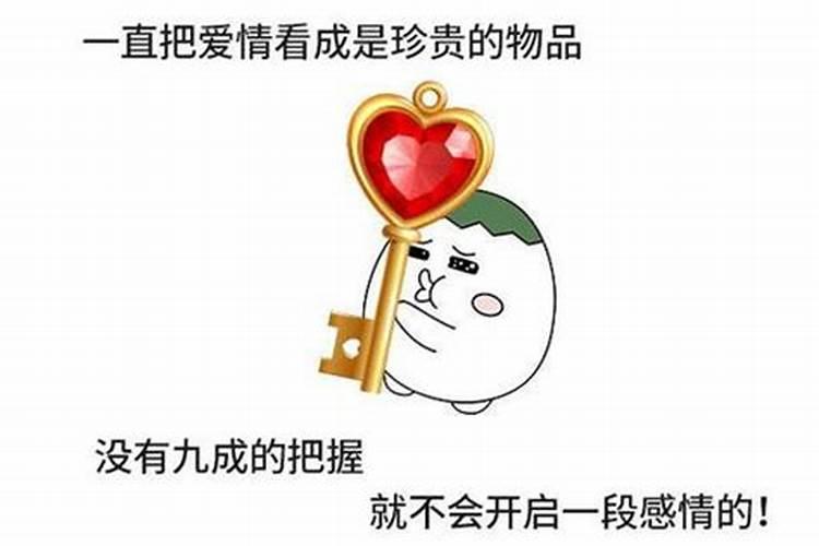 影子是代表什么生肖呢