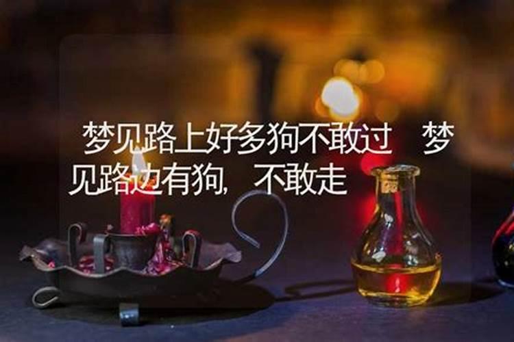 属狗70年出生的今年的运程是什么