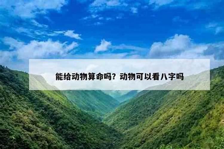 经常梦见初中同学和老师