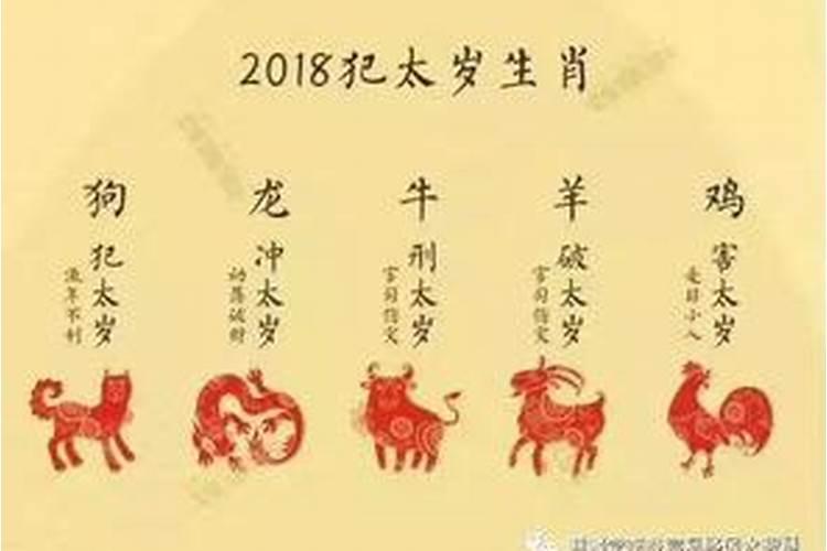 属猪的人今年婚姻和财运如何