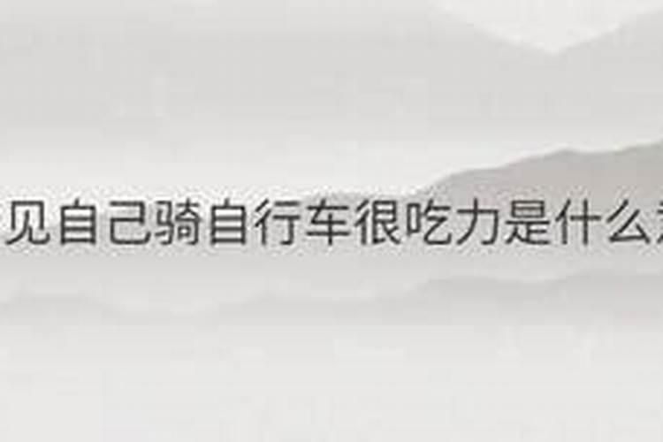 梦见小熊仔预示着什么意思