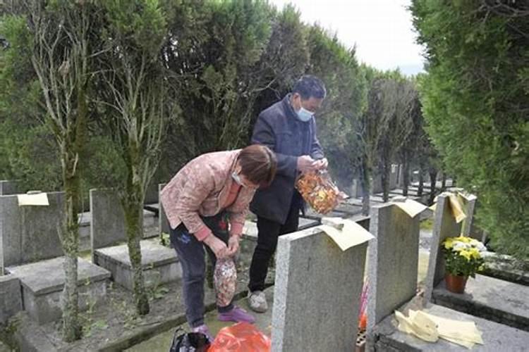 不是清明节可以去祭拜亲人吗