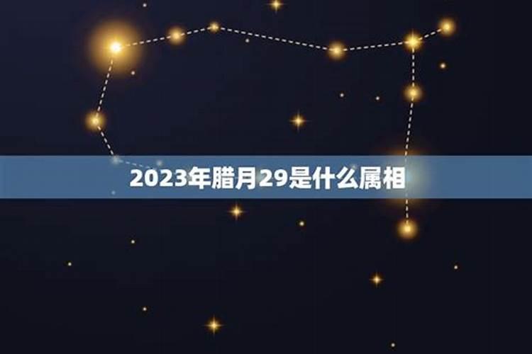 属猪人2023年运势运程疫情