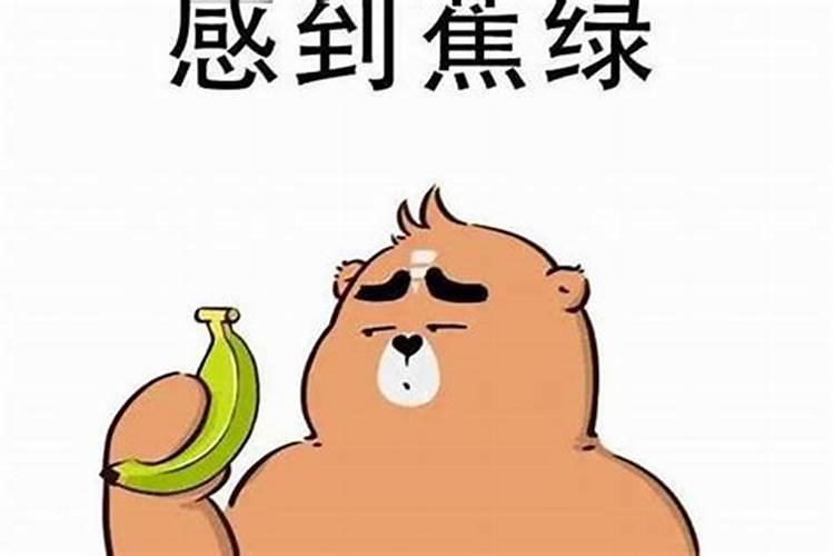 梦到了鱼和乌龟