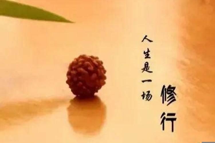 属羊人哪些年份犯太岁