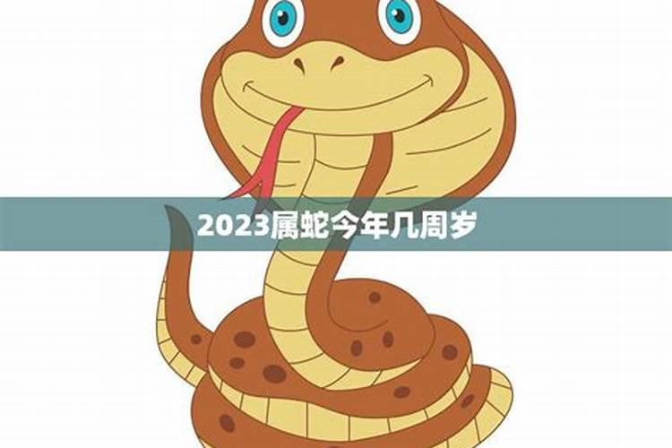 属蛇今年几岁2020