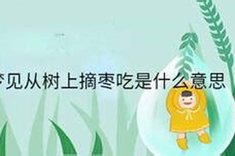 梦见上树摘枣是什么意思