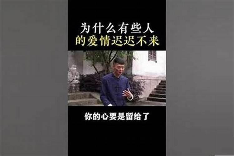 梦到兔子是什么意思周公解梦梦见蛇