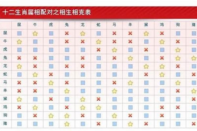 做梦梦见猫拉屎在床上