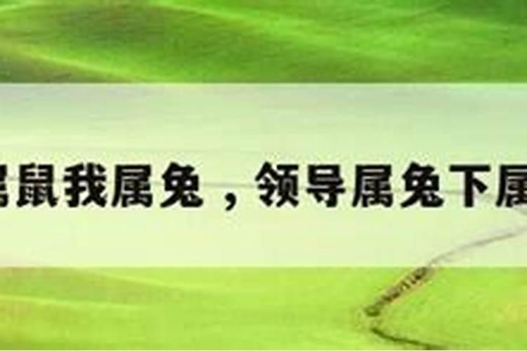 汽车网上怎么选号生辰八字