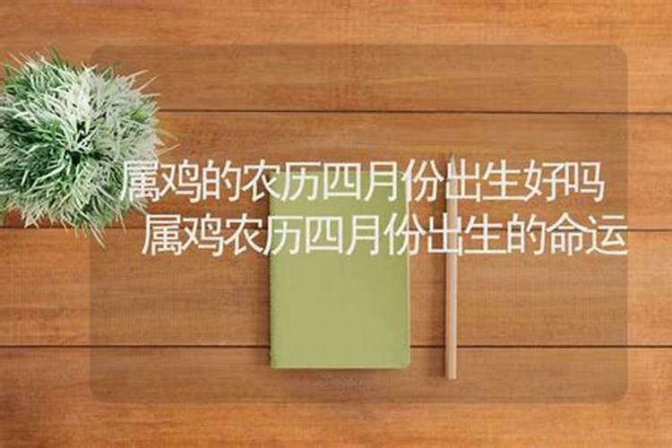 西南方是指什么生肖的动物