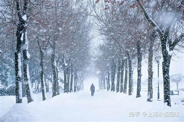 梦见超级大风预示什么周公解梦女人