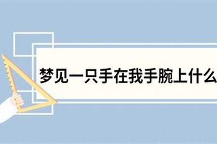 74年虎生肖2023年逐月运势如何