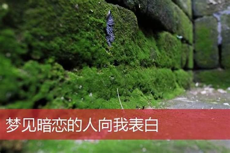 分手多年梦到前女友