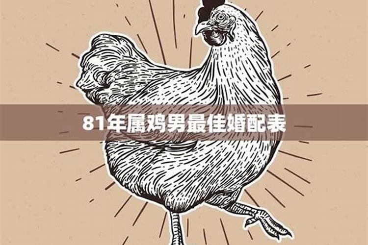 81年是属什么的