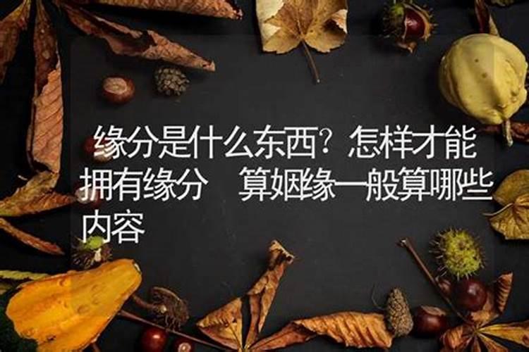 出马仙梦见车是什么意思