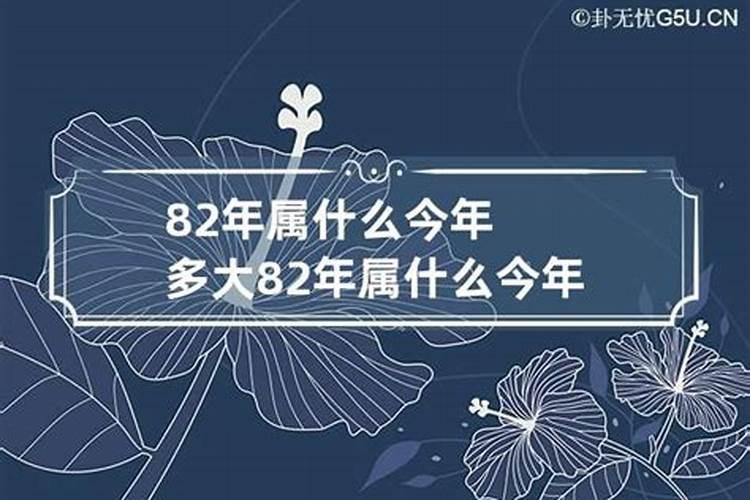 82年属什么生肖今年多大了