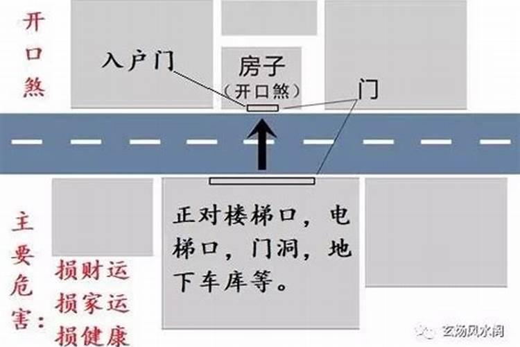 属蛇跟属蛇合不合适