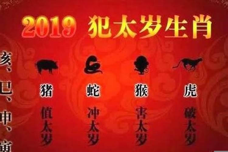 你今年冲太岁了什么意思