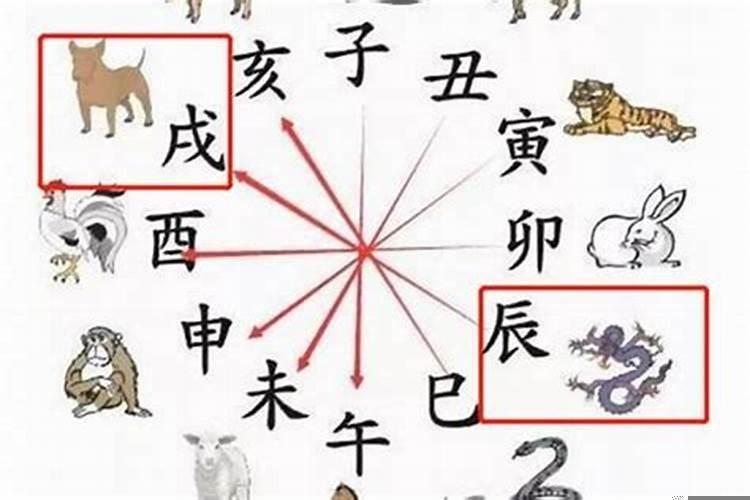 八字不合被父母拆散