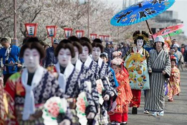 清明樱花祭mv很感人的